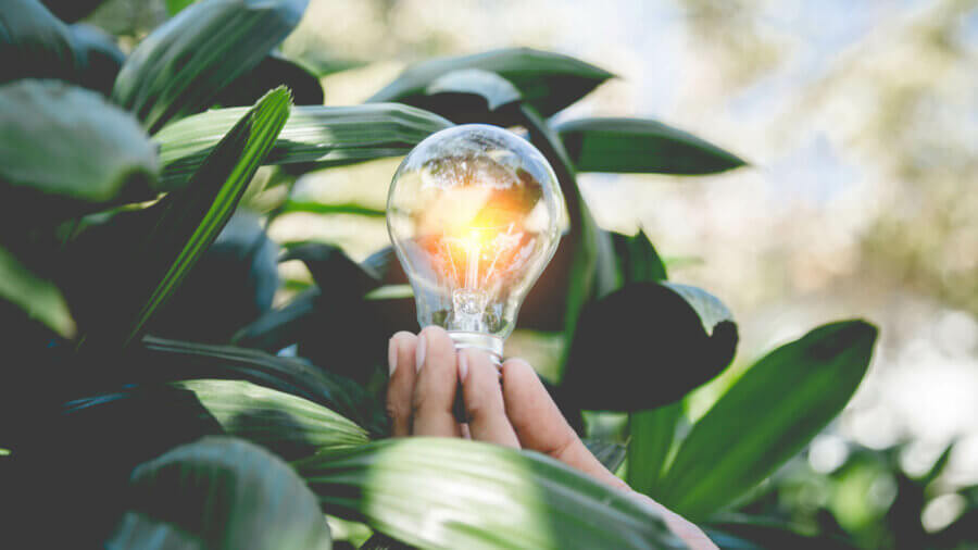 Lightbulb shines brightly on the art and science of ESG in fundamental research
