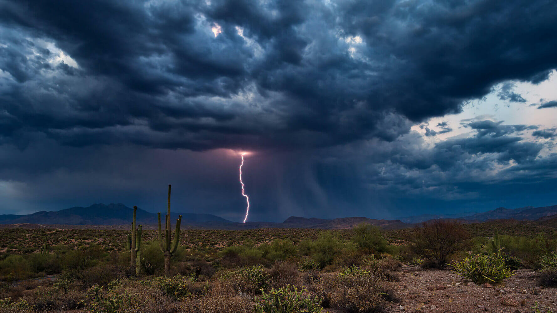 Lightning strikes in the desert, stock market dog days