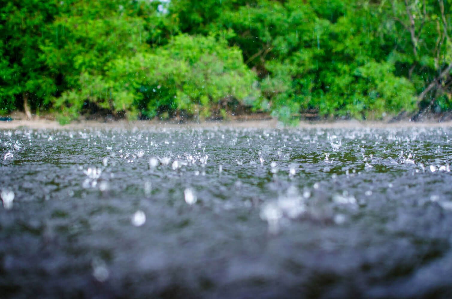 Rain comes down heavily on the ground creating small splashes.