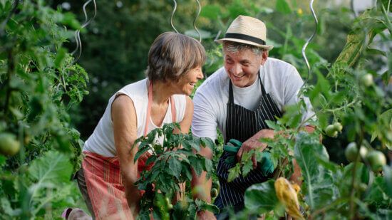 Happy senior couple gardening outdoor